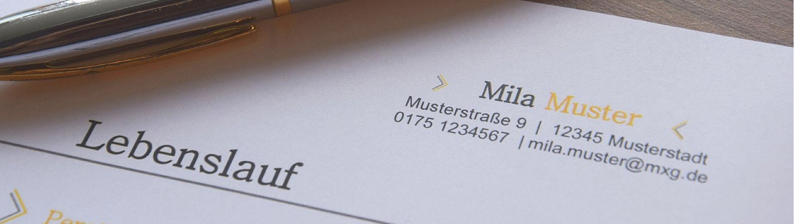 Stellen-Header.001