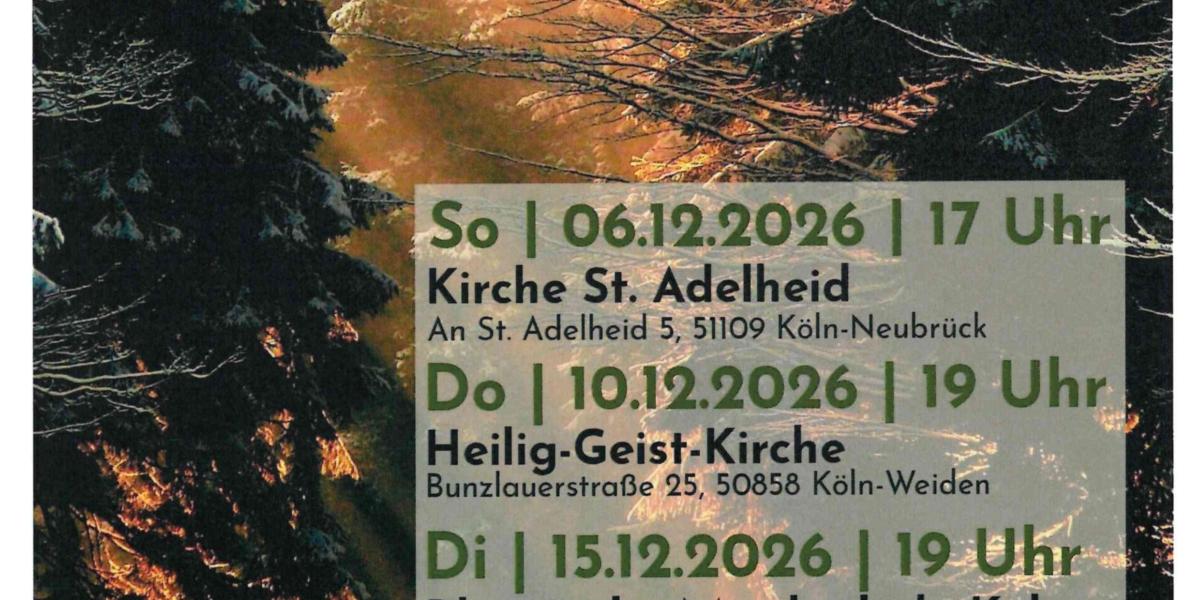 Konzert SBOK Plakat